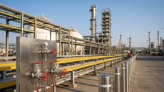 Chemical & Fertilizer