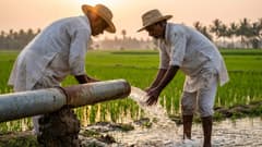 Agricultural Irrigation